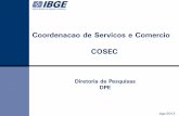 Coordenação de Serviços e Comércio COSEC · Retratar a estrutura produtiva do segmento através de indicadores como: salário médio, valor adicionado, produtividades,etc. ...