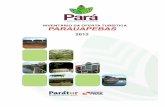 Companhia Paraense de Turismo - 2011 · Infra-estrutura de apoio ao turismo, Serviços e equipamentos turísticos e Atrativos turísticos, assim como as potencialidades de mercado