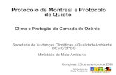 Protocolo de Montreal e Protocolo de Quioto - cetesb.sp.gov.br · Protocolo de Montreal e Protocolo de Quioto Clima e Proteção da Camada de Ozônio Secretaria de Mudanças Climáticas