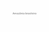 Amazônia brasileira - Produzir Consultoria · maioria da carne produzida nos países da América Central é para abastecer as indústrias de fast-food nos EUA. Muito se critica esta