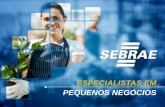ESPECIALISTAS EM PEQUENOS NEGÓCIOS - Sebrae Sebrae/Anexos/Novo MPE Indicadores... · individual (mei) microempresa ... cidadania empresarial . caracterÍsticas do mei microempreendedor