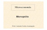 Microeconomia Monopólio - acjassumpcao77.webnode.com fileMaximização de Lucros A curva de receita marginal é negativamente inclinada, pois com os aumentos na quantidade transacionada