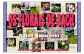 florais de bach2 · Os Florais de Bach Os Florais de Bach 2 Os Florais de Bach Anton Kabaroski Edição especial para distribuição gratuita pela Internet, através da Virtualbooks,