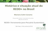 Hist³rico e situa§£o atual do REDD+ no Brasil - .REDD+ no Brasil REDD+ Ferramenta para Pecuria