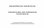 SEQUÊNCIA DIDÁTICA: ProDUção DE ENErgIA EléTrICAcursos.ufrrj.br/posgraduacao/ppgeducimat/files/2018/04/Produto-Edu... · Nacional (SIN) e apresenta, também, as maiores hidrelétricas