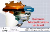 Domínios Morfoclimáticos do Brasil · Nesse sentido, o geógrafo brasileiro Aziz Ab’Saber, faz uma classificação desses ambientes chamados de Domínios Morfoclimáticos.