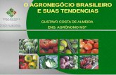 O AGRONEGÓCIO BRASILEIRO E SUAS TENDENCIASabracen.org.br/wp-content/uploads/2013/11/PalestraGustavo_brasilia.pdf · tecnológicas, em desenvolvimento no Brasil e no mundo, ao agronegócio