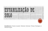 Acadêmicos: Camila Lunardi, Gabriela Cechinel, Viviane ...sinop.unemat.br/site_antigo/prof/foto_p_downloads/fot_14388g3_pdf... · A estabilização dos solos com cal é uma das mais