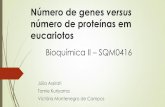 Número de genes versusgraduacao.iqsc.usp.br/files/Número-de-genes-vs-número... · 2017-03-09 · Resumo Introdução Características do genoma humano ... Muitas características
