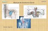 Manual de Anatomia Geral - massagempro.com de Anatomia_Sistema_Digestivo... · Se estiver no Power Point faça F5 para ver como apresentação de Slide Show ... lembra a letra "S"