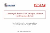 Formação de Preço de Energia Elétrica no Mercado Livreaz545403.vo.msecnd.net/uploads/2013/08/José-Wanderley-Marangon... · Formação de Preço de Energia Elétrica no Mercado