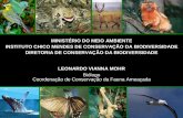 MINISTÉRIO DO MEIO AMBIENTE INSTITUTO CHICO MENDES DE ... · • Principais rotas de aves migratórias (interior e atlântica) Realizar expedições de vigilância ativa para coleta