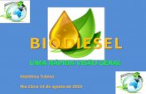 BIODIESEL - crq4.org.br · A diminuição mundial das reservas de petróleo, buscas por fontes de energia renováveis e sustentáveis. E, ... Reação com misturas metanol:etanol
