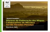 Relatório Consolidado Oficinas de Elaboração dos Mapas ...mosaicosvp.com.br/wp-content/uploads/2016/12/WWF-Brasil-Mapeamento... · Os Mosaicos de Unidades de Conservação são