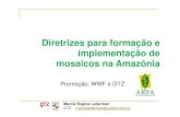 Diretrizes para formação eDiretrizes para formação e ... · • Identificar potenciais mosaicos de unidades de conservação e outras áreas protegidas no Estado do Amazonas;