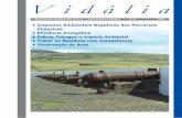 Impactos Ambientais Negativos dos ... - Amigos dos Açores · Boletim dos Amigos dos Açores – Associação Ecológica nº 26 • 2006 V i d á l i a • Impactos Ambientais Negativos