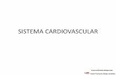 SISTEMA CARDIOVASCULAR - enfermeirodiogo.comenfermeirodiogo.com/pdf/anatomia-e-fisiologia-humana/sistema... · –Sempre saem do coração (fluxo centrifugo) –Tem pulsação Artérias