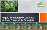 Projeto Estruturante Cosmético de Base Florestal da Amazônia · Mapear e fortalecer a rede de conhecimento do ... TAP e Projeto de pesquisa ... elevado investimento em P&D. Walla