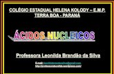 Professora Leonilda Brandão da Silva · ESTRUTURA DOS ÁCIDOS NUCLEICOS •O nome ácidos nucleicos indica que DNA e RNA são ácidas e foram inicialmente encon-tradas no núcleo