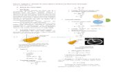 Física 2 Capítulo 1 Rotação de corpos rígidos e Dinâmica ...claudio.sartori.nom.br/fisica2fateccap1.pdf · Física 2 – Capítulo 1 – Rotação de corpos rígidos e Dinâmica