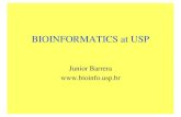 BIOINFORMATICS at USPjb/lectures/bioinformatics/bioinfo_usp.pdf · Transcriptoma Genoma Metabolic pathways ... • USP PhD program on Bioinformatics, with the participation of seven