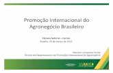 Promoção Internacional do Agronegócio Brasileiro · Brasília, 25 de março de 2013 Marcelo Junqueira Ferraz ... – Plano Nacional da Cultura Exportadora (MDIC) – Superintendências