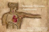 Sistema Nervoso Autônomo - edisciplinas.usp.br · Sistema Nervoso Autônomo SNA é regulado por retroalimentação sensorial Aferências sensoriais viscerais convergem para o núcleo