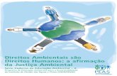 Direitos Ambientais são Direitos Humanos: a afirmação da ... PEAS 2.pdf · Programa de Educação Ambiental para a Sustentabilidade do Instituto de Gestão das Águas e Clima (Ingá/SEMA)
