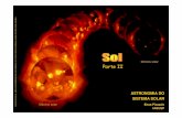 Mínimo solar Parte II - astro.iag.usp.brpicazzio/aga292/Notasdeaula/sol-aga292-II.pdf · reversão magnética. (h,i) Parte desse fluxo é transportado para o equador, gerando um