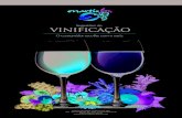 Enartis Portugal Unipessoal, Lda com os aromas do seu vinho... · Um modo simples e eficaz de ... de 20 g/hL de Nutriferm Advance no final do primeiro terço da fermentação é ...