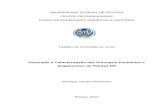 Descrição e Caracterização das Principais Enchentes e ...wp.ufpel.edu.br/esa/files/2013/10/TCC-HENRIQUE-HANSMANN1.pdf · microdrenagem como no da macrodrenagem. A impermeabilização