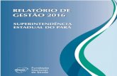 MINISTÉRIO DA SAÚDE - Fundação Nacional de Saúde · FICHA CATALOGRÁFICA Relatório de Gestão 2016 / elaborado pela Superintendência Estadual da Funasa em Belém, Estado: Pa