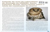 Coleção de aves do Laboratório de Zoologia da UNOESC ... · No caso dos vertebrados, as contribui- ... Assim como, apresentar algumas observações adicionais sobre Narosky, T.