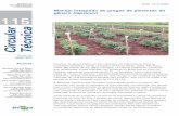 Manejo integrado de pragas de pimentas do gênero Capsicum 115 · 2 Manejo integrado de pragas de pimentas do gênero Capsicum crescimento de suas populações. Nestes casos, medidas