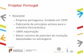 Hovione - Instituto Diplomático · Hovione, Loures - 1969 . Organização: Projetar Portugal ... •Que mensagens devemos dar no estrangeiro ? We are at the centre of the World,