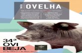 revista OVELHA - .02 | OVELHA cr³nica Nasceu em 1965 na Aldeia de Palheiros. Viveu em Ourique, Castro