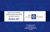INSTITUTO DE DEFESA AGROPECUÁRIA DO ESTADO DE …reflorestamentoecarbono.com.br/wp-content/uploads/2016/04/acoes-co... · INDEA-MT O Instituto de Defesa Agropecuária do Estado de