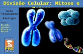 Slide 1 - biologiavirtual | Just another WordPress.com site · PPT file · Web viewDivisão Celular: Mitose e Meiose Aula Programada Biologia Tema: Divisão celular: Mitose e Meiose