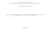 Metodologias e Ferramentas para Avaliação da Qualidade de ...ana/Monografias/MAC5701_Monografia.pdf · Metodologias e Ferramentas para Avaliação da Qualidade de Sistemas Web ...