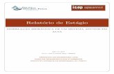 Relatório de Estágio - recipp.ipp.ptrecipp.ipp.pt/bitstream/10400.22/5986/1/DM_JoseRego_2014_MEC.pdf · mestrado em engenharia civil ramo de infraestruturas e ambiente instituto