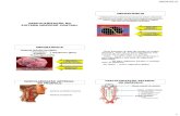 VASCULARIZAÇÃO DO SISTEMA NERVOSO CENTRAL · Artéria cerebelar superior ARTÉRIAS CEREBRAIS ... o espaço entre a face inferior do cerebelo e a face posterior do bulbo . 08/04/2013