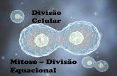 Mitose Divisão Equacional - Vitória da Conquistacolegiosacramentinas.com.br/professor/wp-content/uploads/2016/09/... · Mitose X Meiose Mitose = Divisão Equacional – E! Velocidade