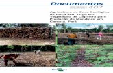 Agricultura de Base Ecológica de Roça sem Fogo em ... · O uso do fogo na agricultura é uma prática ... como o observado em Cametá com média de apenas ... metros quadrados de