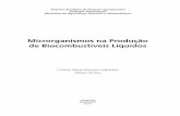Microrganismos na Produção de Biocombustíveis Líquidoslivraria.sct.embrapa.br/liv_resumos/pdf/00052920.pdf · Prospecção de enzimas para produção de etanol celulósico .....