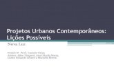 Projetos Urbanos Contemporâneos: Lições Possíveis¢neos1.pdf · Projetos Urbanos Contemporâneos: Lições Possíveis Nova Luz Projeto 8 Prof.: Luciane Tasca ... para a região