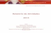 Relatório de Atividades 2013 - sg.pcm.gov.pt RA 2013 com anexos e capa.pdf · DSFC – Direção de Serviços Financeiros e Contabilidade DSPA – Direção de Serviços de Património