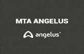 MTA ANGELUSangelusdental.com/img/arquivos/mta_angelus_bula_online.pdf · partículas hidrofílicas. É indicado em casos de perfuração ... que impedem a migração de fluidos para
