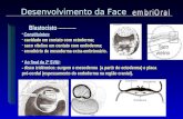 Apresentação do PowerPoint - Home — UNIVERSIDADE … da face.ppt · PPT file · Web view2010-03-09 · Nervo trigêmio Nervo facial Nervo glossofaríngeo ... Times New Roman