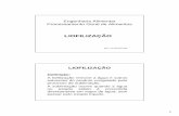 LIOFILIZAÇÃO Liofilização.pdf · Processamento Geral de Alimentos LIOFILIZAÇÃO ESAC - Ivo Rodrigues 2008 ... Fundamentos da Liofilização: a liofilização só pode ocorrer