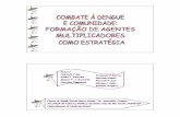 reintrodução da dengue no Brasil em 1986 pelo Estado189.28.128.100/dab/docs/eventos/2a_mostra/combate_dengue_gabriela... · transmissão e as formas de eliminar criadouros do vetor.
